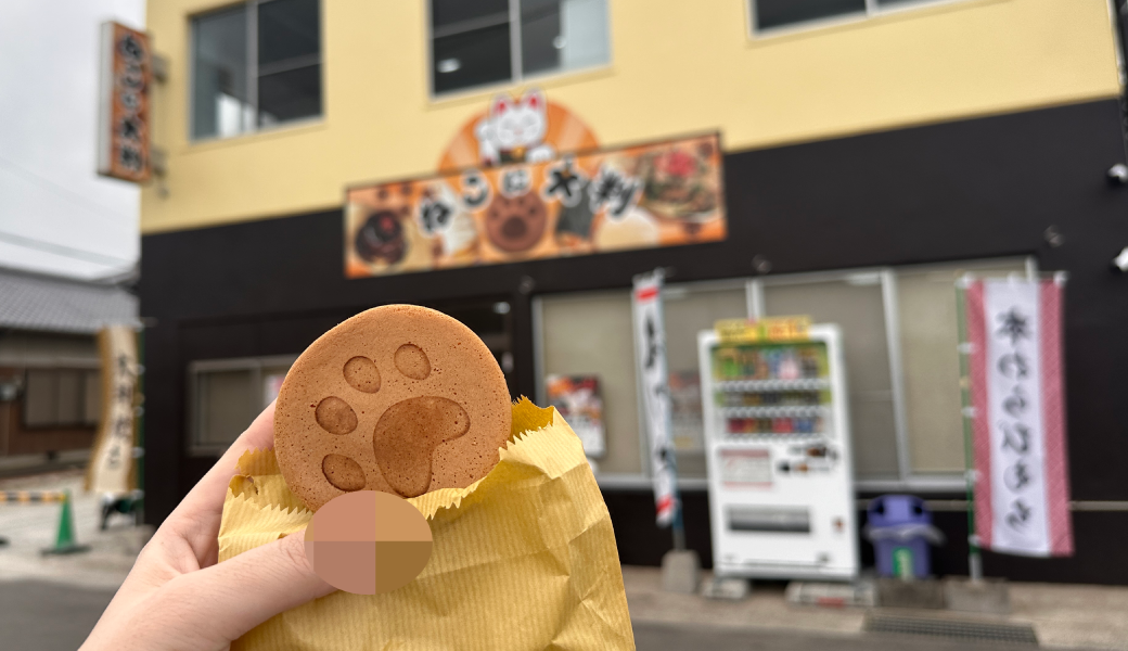 高松市川島東町 ねこに大判