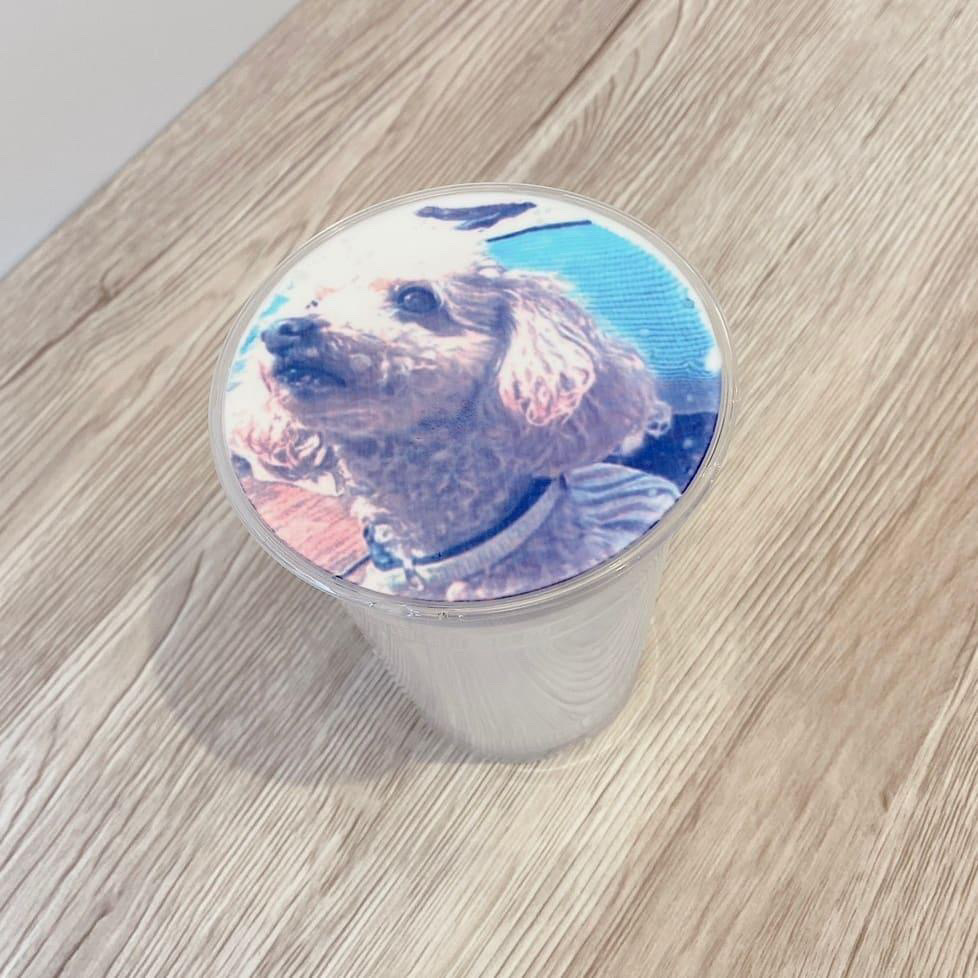 宇多津町 カフェ ノウル