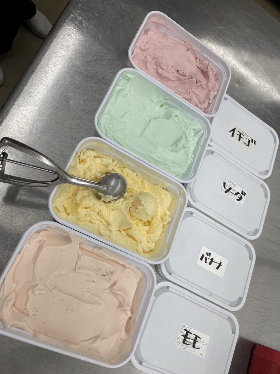 高松市仏生山町 ヒメクリン