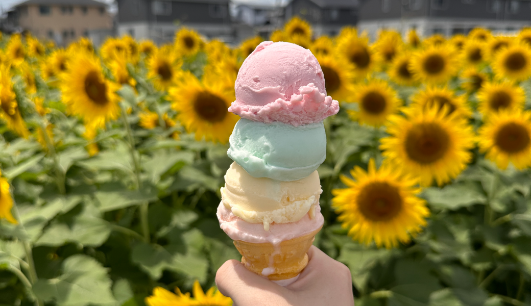 高松市仏生山町 ヒメクリン