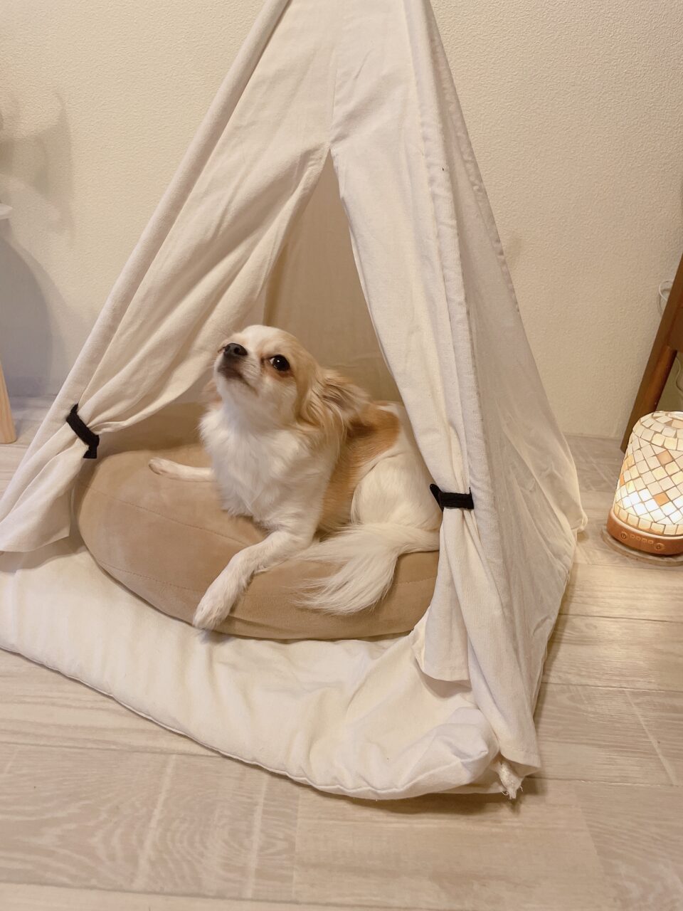 丸亀市垂水町 vanira nail