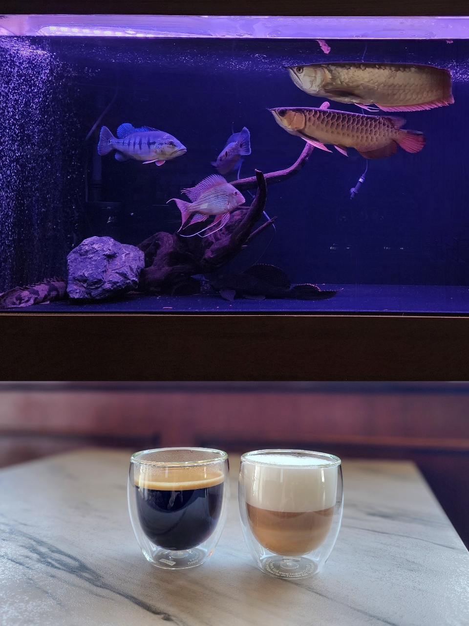 観音寺市大野原町 TETRA