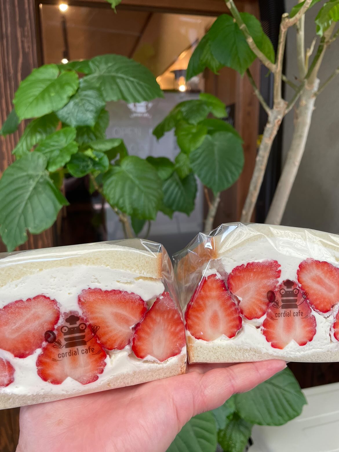 春フェス cordial cafe