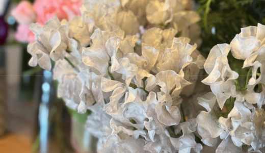 丸亀市本町に「SELENE」が2025年3月1日(土)に期間限定オープン