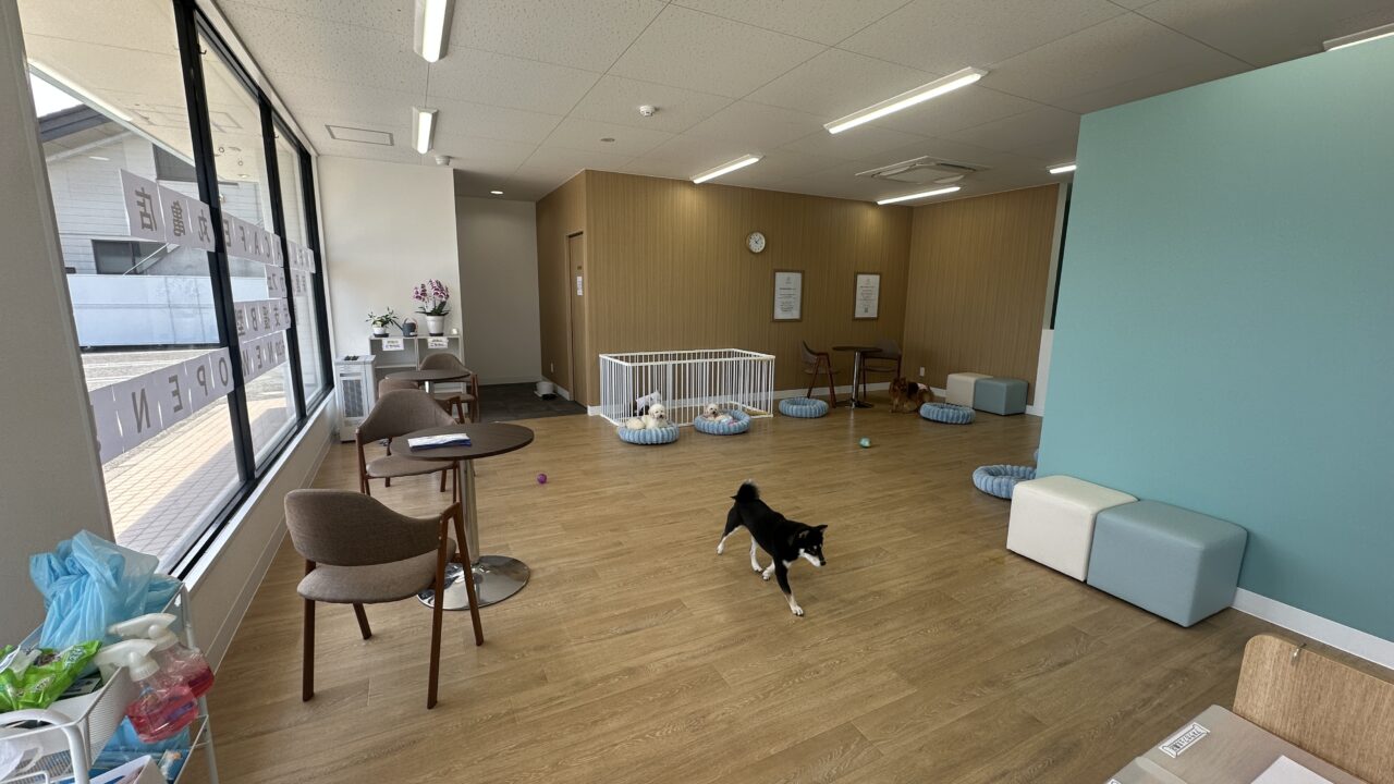 丸亀市土器町東 Anella Cafe丸亀店